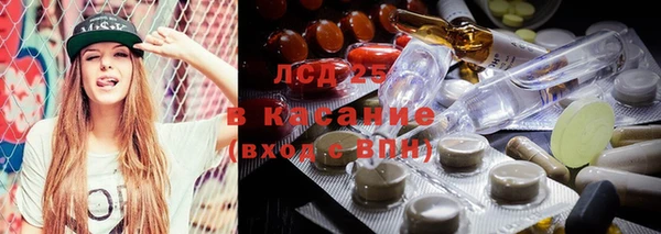 apvp Алзамай