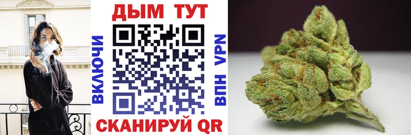 купить   Покачи  Конопля Bruce Banner 